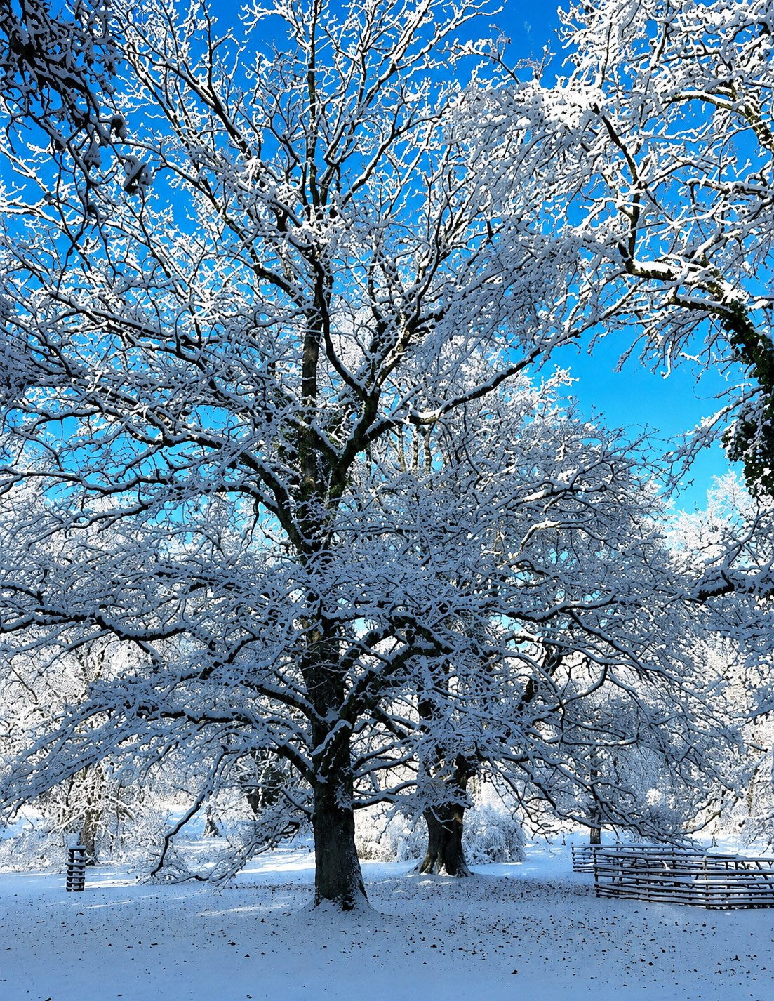 Winterlandschaft